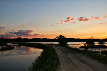 Contact Signature Designs