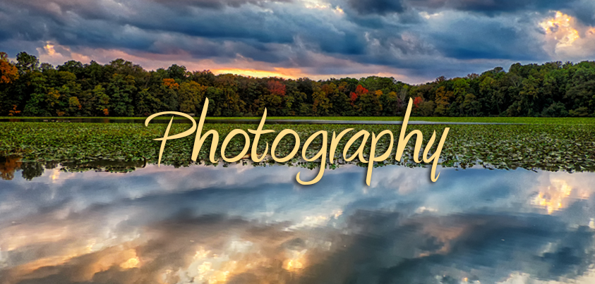 Photography by Signature Designs